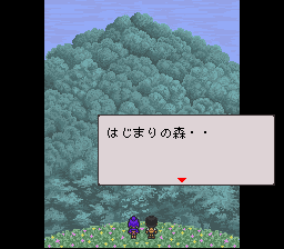 はじまりの森画像