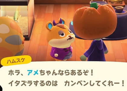 アメちゃんならあると焦るハムスケ