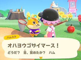 ハムスケの朝の挨拶画像