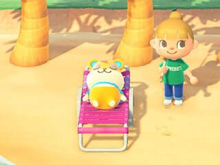 ハムスケビーチで居眠り画像