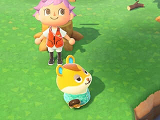 ハムスケの好物ドーナッツ画像