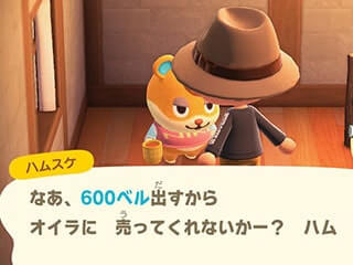 ハムスケの仕入れ画像