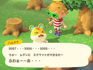 ハムスケのトレーニング画像