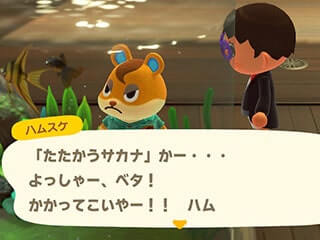 水槽の中の小さな魚に闘争心をむき出しにした顔のハムスケ画像