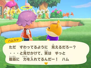 ハムスケ腹筋を鍛える画像