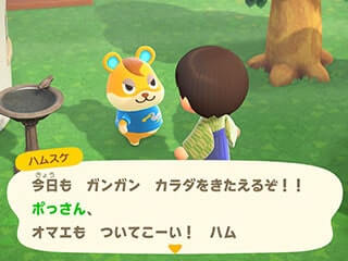 ハムスケトレーニングの誘い画像